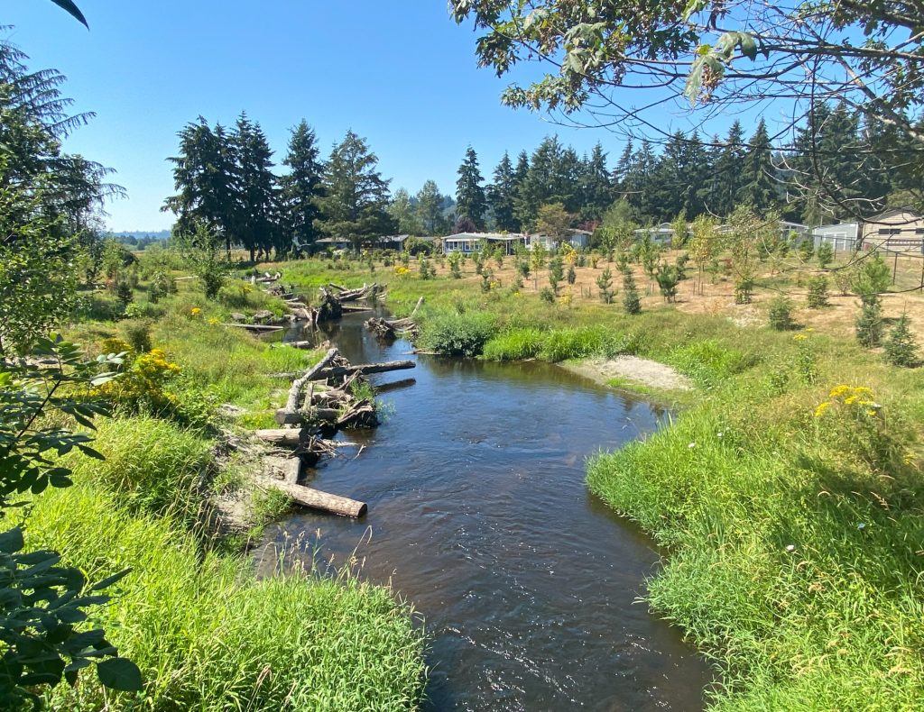 Bear Creek flowing through restoration area
