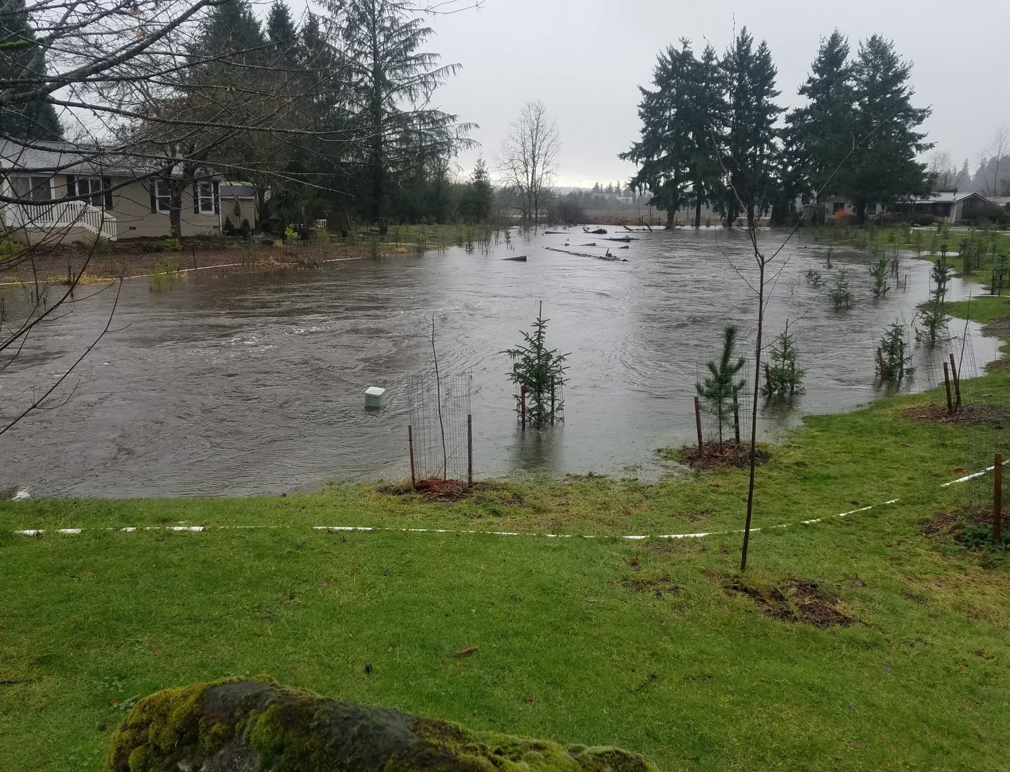 Bear Creek during flooding event