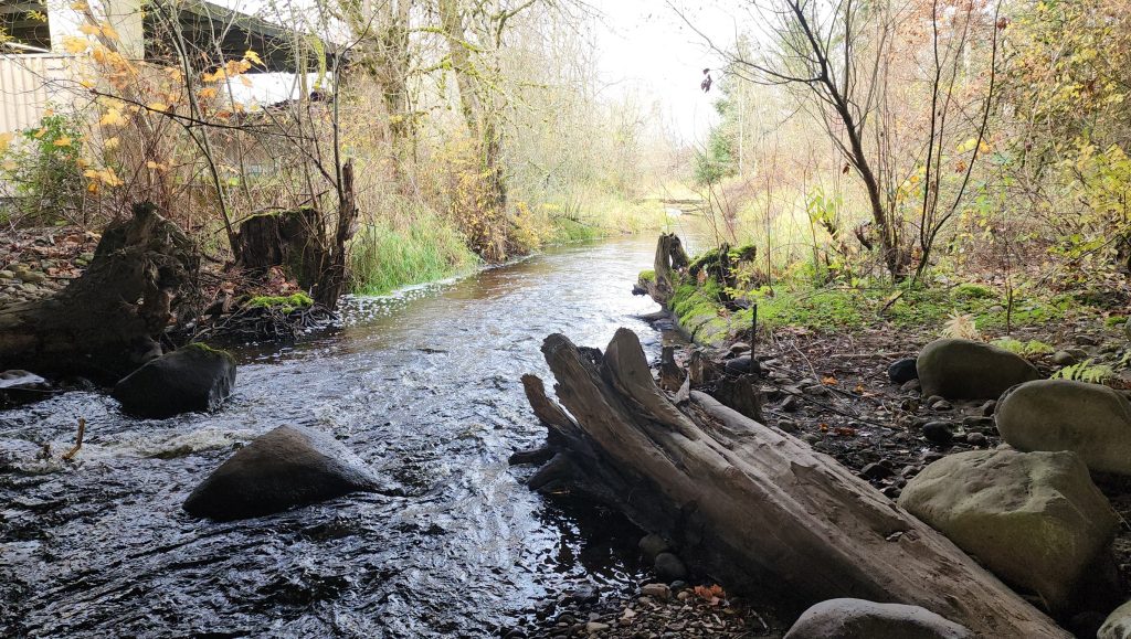 Evans Creek, flowing past logs and boulders, surrounded by trees and shrubs.