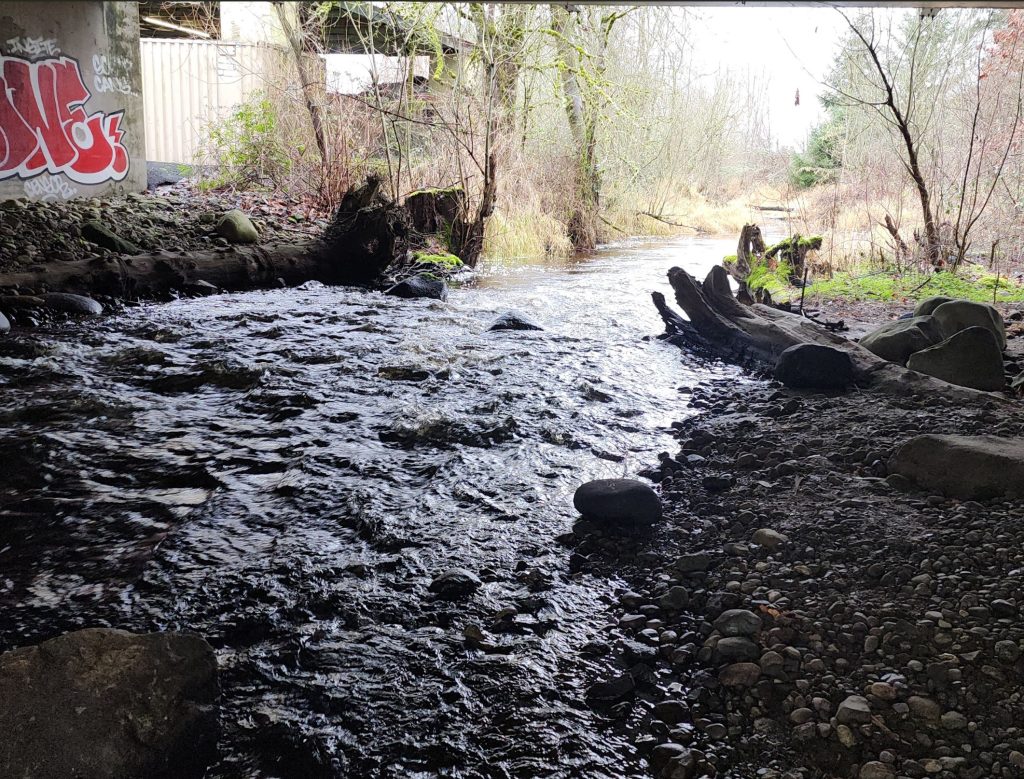 Evans Creek monitoring site, view from under the bridge.