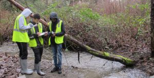Students monitoring water quality